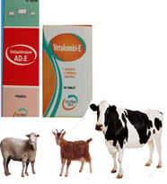 BÜYÜKBAŞ VE KÜÇÜKBAŞ HAYVANLARINIZ İÇİN VİTAMİN SETİ (VETAKOBİL- E 60 TABLET + AD3E VİTAMİNİ 100 ML)
