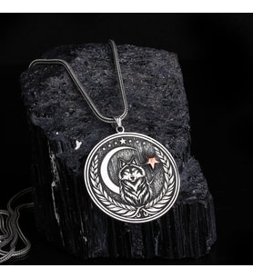 925 Ayar Gümüş Ayyıldız Kurt Model Madalyon Kolye (Gri)