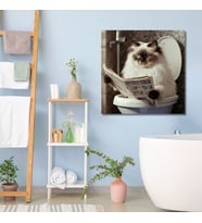Tekli Kare Kanvas Banyo Tablosu Gazete Okuyan Ragdoll Kedisi