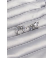 Pirinç Gümüş Renk İri Zirkon Taşlı Kıvrımlı Minimal Kelebekli Halka Küpe - SSSSSS8244-5