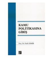 Kamu Politikasına Giriş