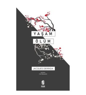 Yaşam Ölüm