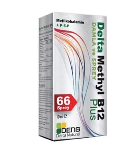 Methyl B12 Plus 66 Sprey 10 ml