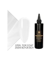 Steel Top Coat 250 ml