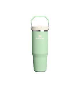 The IceFlow Flip Straw Pipetli Termos Bardak 0.89 LT Matara YEŞİL