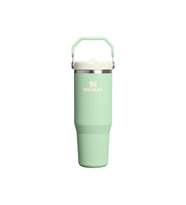 The IceFlow Flip Straw Pipetli Termos Bardak 0.89 LT Matara YEŞİL