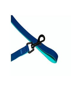 PVC Mavi Köpek Tasma Kayışı