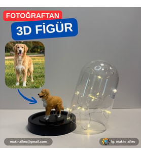 Işıklı Fanus İçinde Kişiye Özel 3D Evcil Hayvan Figür (10cm)