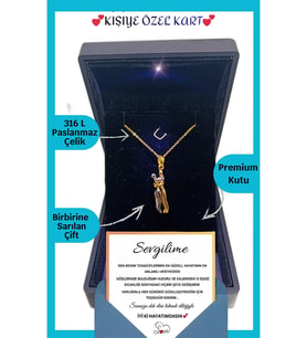 14 Şubat Sevgililer Günü Hediyesi "Sevgiliye" Hug Me Çelik Kolye  Anlamlı Not Işıklı Premium Kutuda (Gold)