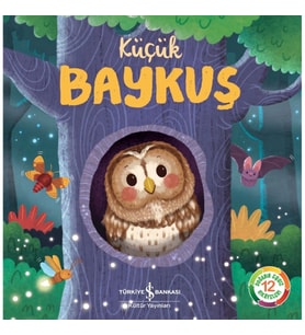 Küçük Baykuş