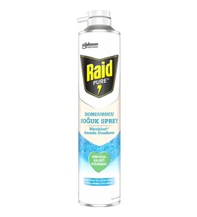 RAID PURE BÖCEK DONDURUCU SPR 350 ML