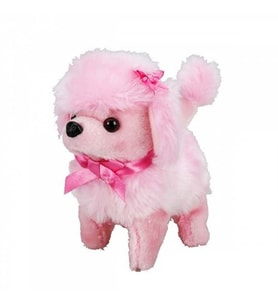 NessiWorldman Sevimli Köpek Poodle