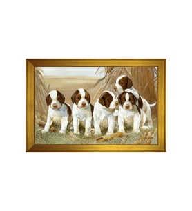 Hayvanlar Temalı Kanvas Tablo 50 x 70 cm Gold Çerçeve