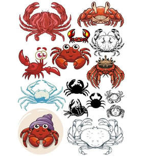 Yengeç Sticker  Set-2 13 Parça Telefon, Tablet, Defter, Laptop Sticker