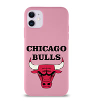 Apple iPhone 11 Uyumlu Lansman Kılıf Chicago Bulls Tasarımlı Altı Kapalı İçi Kadife Kaplı  Kapak (Şeffaf)