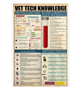 Veteriner teknik bilgisi Tablo Ahşap Poster Dekoratif