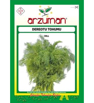 Derem Dereotu Tohumu 25 Gr