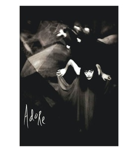 1998 The Smashing Pumpkins Vintage Perfect Era Tablo Ahşap Poster Dekoratif