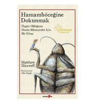 Hamamböceğine Dokunmak
