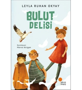Bulut Delisi