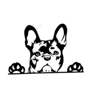 Paws Up fransız Bulldog Frenchie Siyah Renk Sticker