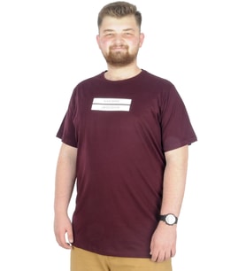 Mode XL Büyük Beden T-Shirt Bis Yaka Black Series 22189 Mürdüm