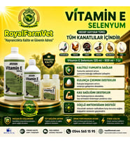 Tüm Kanatlılar, Güvercin ve Kafes Kuşları İçin Vitamin E Selenyum 1 Lt. Yumurta Verim Arttırıcı