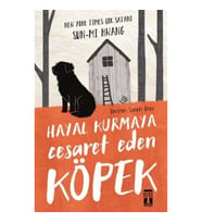Hayal Kurmaya Cesaret Eden Köpek