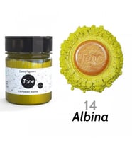 Resinin Tone Powder Albina Epoksi Toz Sedef Renk Pigmenti 100 ml