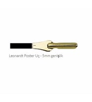 Manuscript Leonardt Poster 5mm