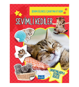 Sevimli Kediler -  Benim eğlenceli Çıkartma Kitabım