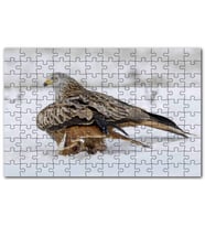 Cakapuzzle Karlar Üzerindeki Kartal Pençelerindeki Avı Puzzle Yapboz MDF (Ahşap) (120 Parça)