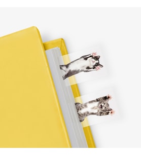 Mustard Cat in a Book