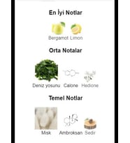 Ocean Noir - Baskın Deniz Notaları,Yüksek Çekim Gücü (Megamare Muadili- Özel Kumaş Hediye Kese Sunumuyla) 50 ml EDP Niş Parfüm