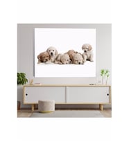 Köpek Yavrusu Temalı Kanvas Tablo