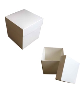 Komple Karton Kutu 10X10x10 (10 Adet )  Beyaz