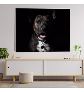 Siyah Sevimli Rotvaydır Köpek Dekoratif Kanvas Tablo 