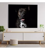 Siyah Sevimli Rotvaydır Köpek Dekoratif Kanvas Tablo 