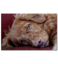 Cakapuzzle Sevimli Kahverengi Köpek Yakın Çekim Puzzle Yapboz MDF (Ahşap) (120 Parça)
