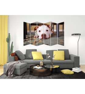 KÖPEK MDF TABLO-2649 MODEL-B