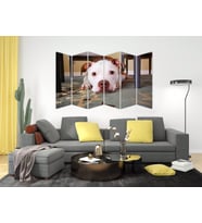 KÖPEK MDF TABLO-2649 MODEL-B