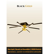 Nova 8 Gold LED Tavan Avize – Kumandalı Dim Edilebilir – Aşağı Işık