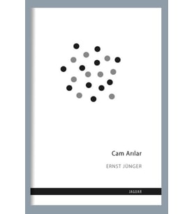 Cam Arılar