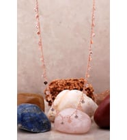 Pullu Rose Gümüş Choker Kolye 6582
