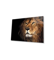 Aslan Cam Tablo 4mm Dayanıklı Temperli Cam (Çok Renkli)