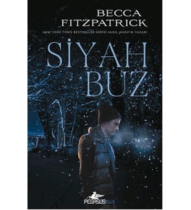 Siyah Buz
