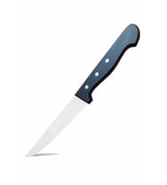 Sürbisa 61002 Mutfak Bıçağı 