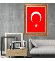 Altın Paspartulu Çerçeveli Tablo C477 (Gold)