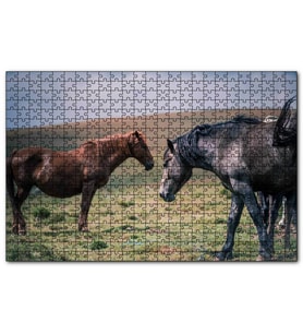 Cakapuzzle Çayırda Yılkı Atları  Puzzle Yapboz MDF (Ahşap) (120 Parça)