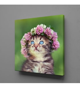 TATLI KEDİ KANVAS TABLO 160x160cm